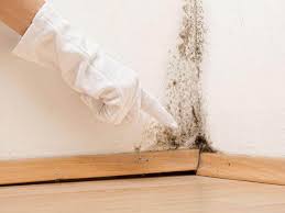 Best Mold Prevention Services  in Elizabethville, PA